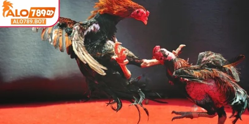  Áp dụng quy tắc để giữ đảm bảo sự minh bạch, rõ ràng