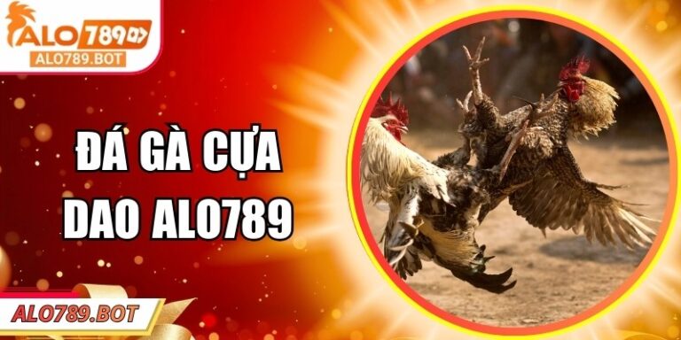 Đá Gà Cựa Dao Alo789 – Thu Hút, Minh Bạch Và Đầy Hấp Dẫn