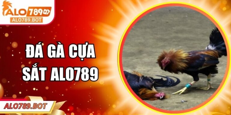 Đá Gà Cựa Sắt Alo789 – Kịch Tính Trong Từng Pha Ra Đòn