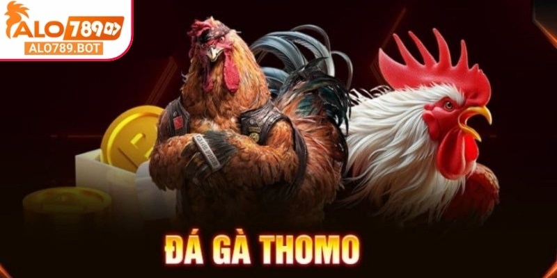 Đá gà Thomo Alo789 tái hiện không khí kịch tính của sới gà truyền thống