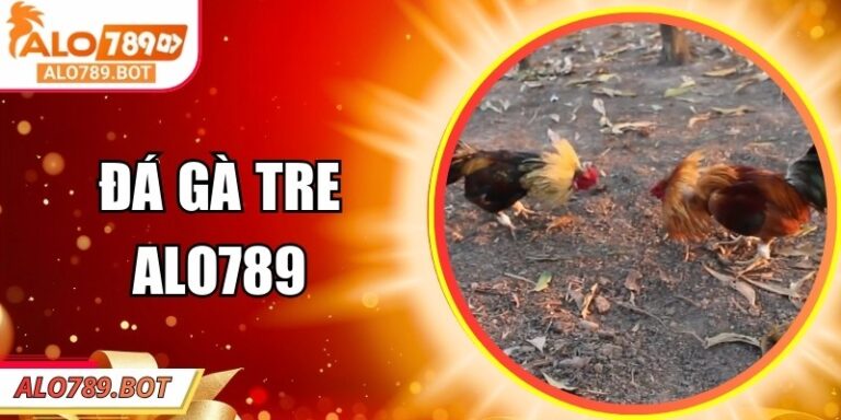 Đá Gà Tre Alo789 – Kịch Tính, Minh Bạch Và Hiện Đại