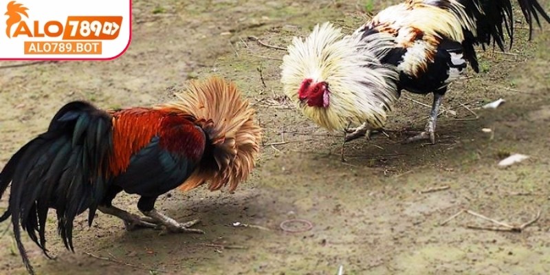 Tham gia ngay với chúng tôi để nhận được những lợi ích đặc biệt