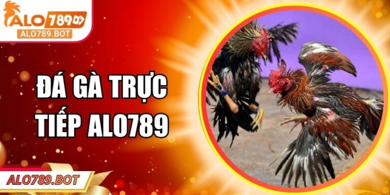 Đá Gà Trực Tiếp Alo789 – Trải Nghiệm Hấp Dẫn Ngay Hôm Nay