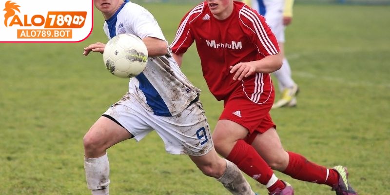 Hình thức này không cần quan tấm đến số bàn thắng, chỉ cần dự đoán kết quả