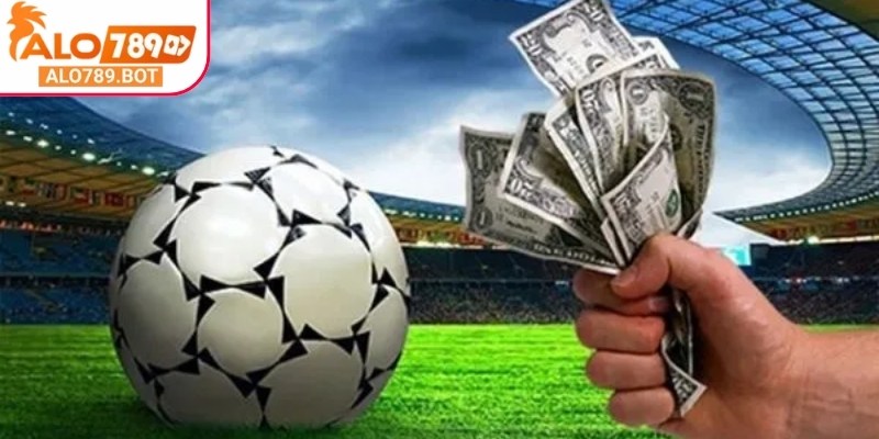 Lợi nhuận của người chơi dựa trên số tiền cược và tỷ lệ odds