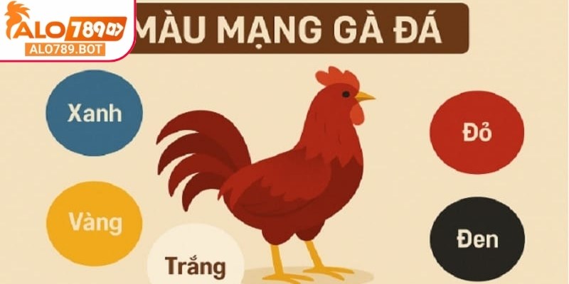 Chi tiết cách xem màu mạng đá gà theo ngày Alo789 chuẩn xác