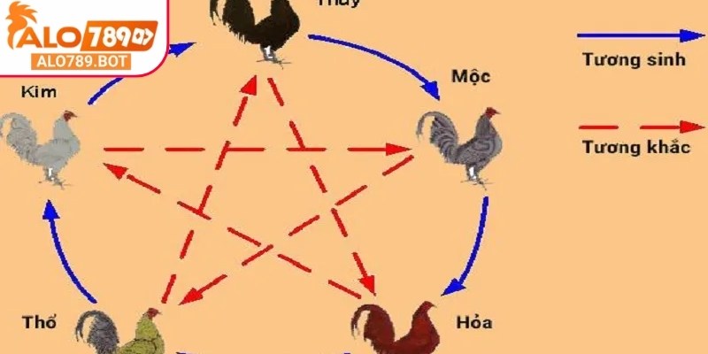 Những điều cần biết về màu mạng đá gà theo ngày Alo789