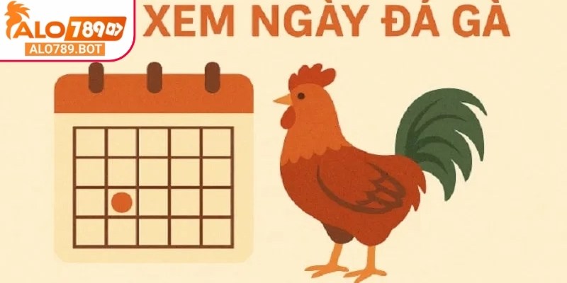 Chọn mạng màu theo ngày trước khi tham gia trận đấu để tăng phần thắng